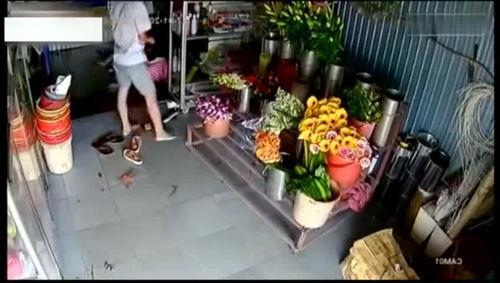 花店老板叶女士爆料视频,一场关于鲜花与情感的独特邂逅